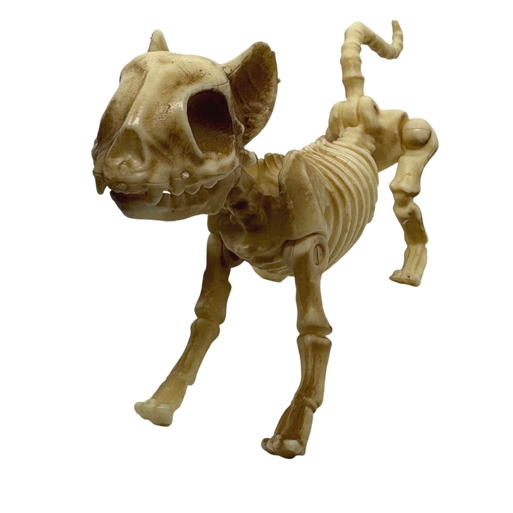 Articulated Cat Skeleton Halloween Figurine Posable Plastic Bone Decor 7 Inch